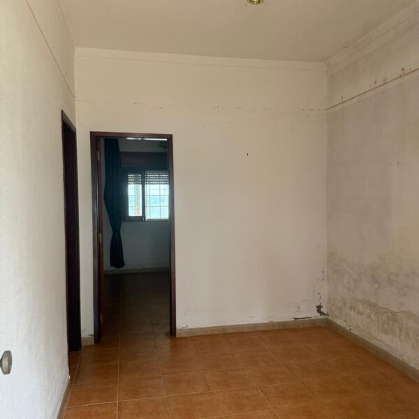 1/2 Quinta Biscainho